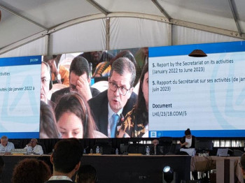 UNESCO: Azerbaijan's statement was delivered during the 18th session of the Intergovernmental Committee for the Safeguarding of the Intangible Cultural Heritage