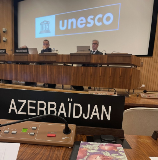 Azərbaycanın nümayəndəsi UNESCO-nun Apellyasiya Şurasının alternativ sədri vəzifəsinə seçilib